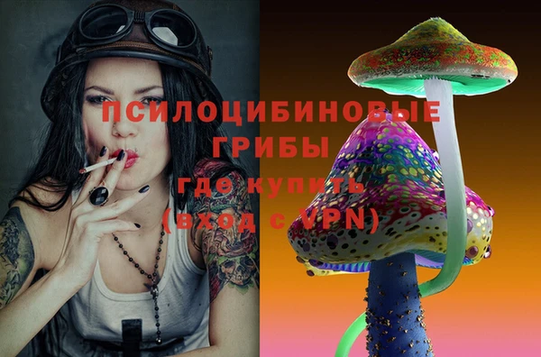 спиды Каменногорск