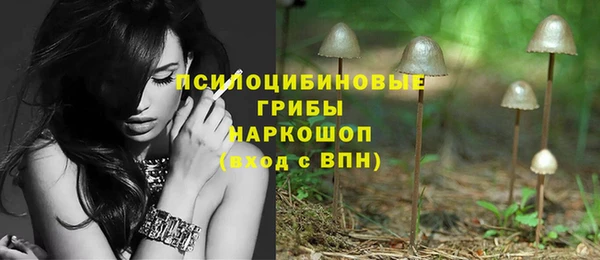 бошки Инта