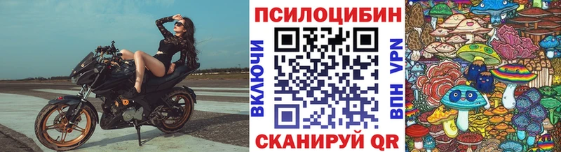 Псилоцибиновые грибы ЛСД  продажа наркотиков  Спас-Клепики 